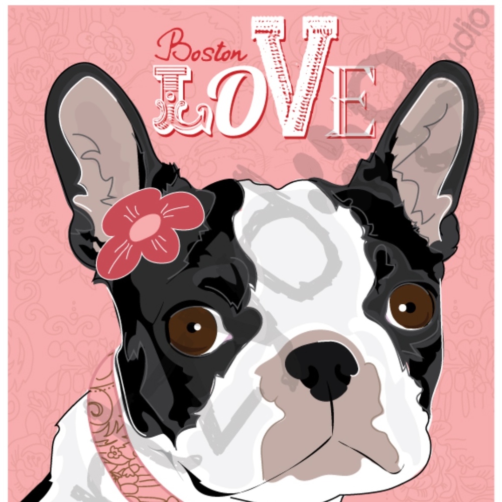 Boston Terrier - Love